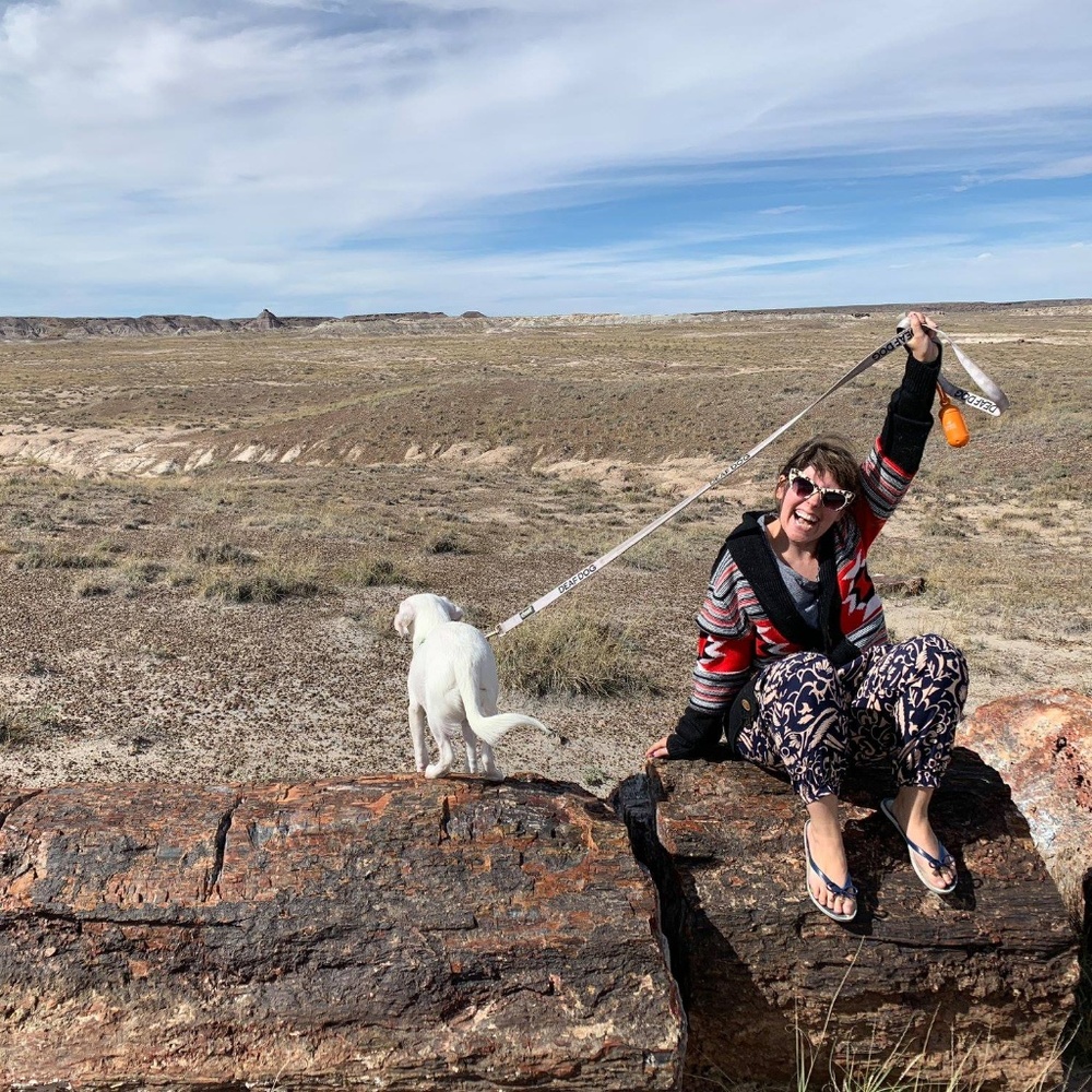 Meet Your Posher, Paige! - Picture 5 of 11